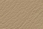 sandbeige