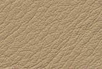 sandbeige