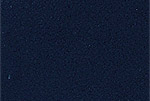 blue-delphinus