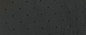porsche-perforation