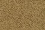 savannabeige
